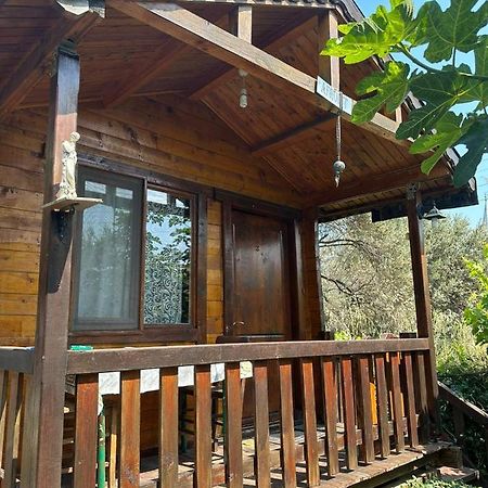 Olimpos Bungalov Apart Aparthotel Balikliova Екстериор снимка