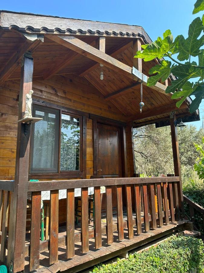 Olimpos Bungalov Apart Aparthotel Balikliova Екстериор снимка